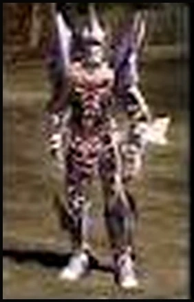 Black Dragon Set